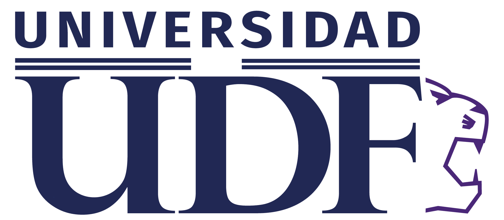 Universidad UDF